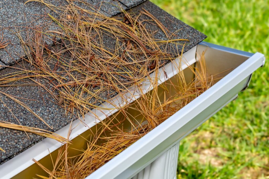 gutter guards cost pines inside white gutter